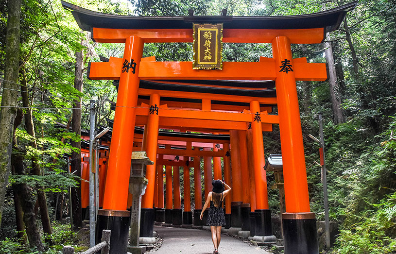 orange tori gates in japan