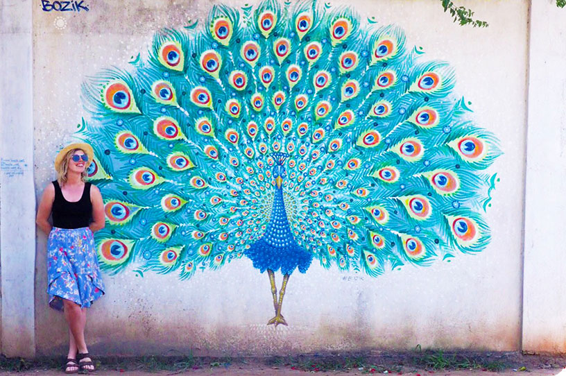 peacock mural