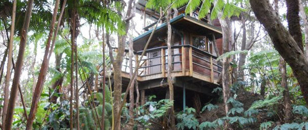 Hawaiian treehouse for rent near Volcano national park
