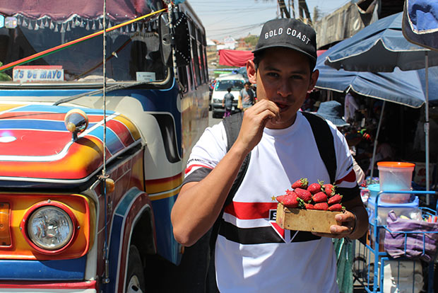 Eating strawberries in Bolivia
